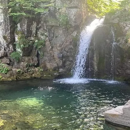 Boscoverde * Pievepelago
