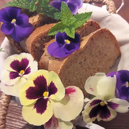 Boscoverde Bed and breakfast