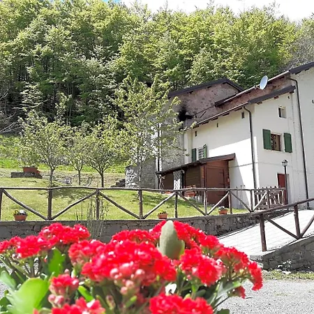Bed and breakfast Boscoverde