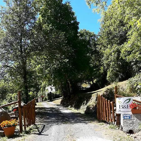 Boscoverde * Pievepelago